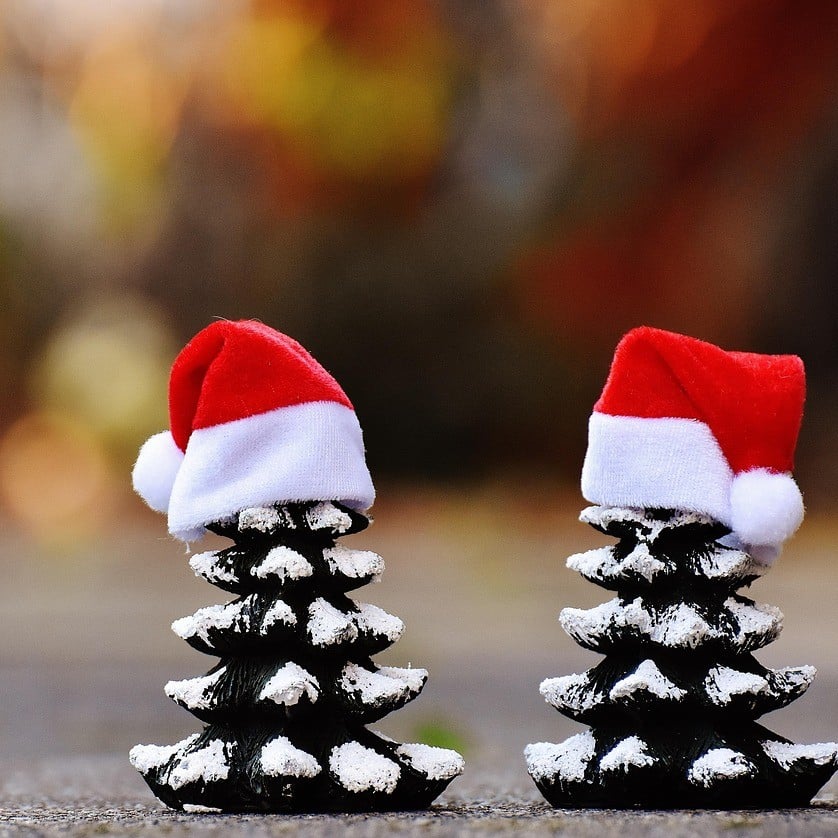 Medlems juleafslutning